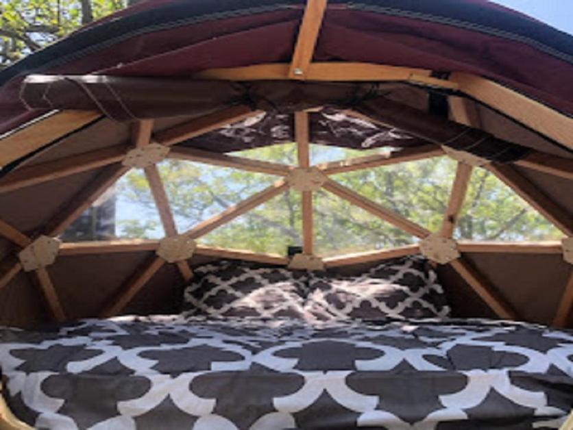 Des Cigales Campsite